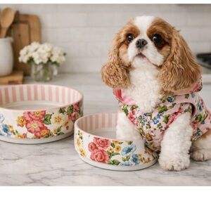 Mark & Graham SANDERSON Ceramic Pet Bowls lot of 2